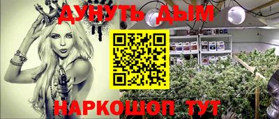 гашик Будённовск