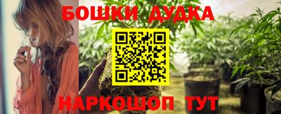 гашик Будённовск